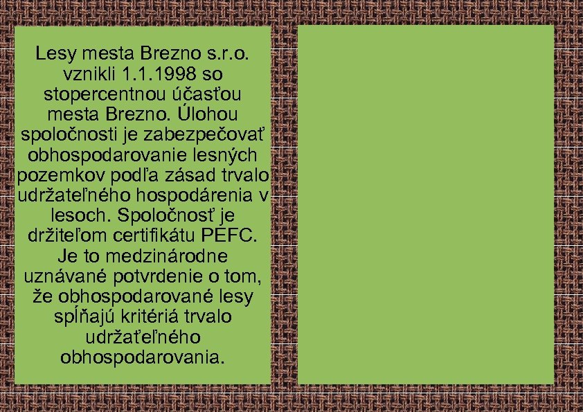 Lesy mesta Brezno s. r. o. vznikli 1. 1. 1998 so stopercentnou účasťou mesta