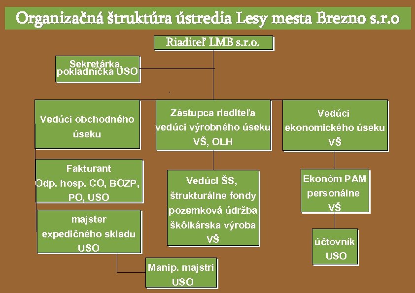 Organizačná štruktúra ústredia Lesy mesta Brezno s. r. o Riaditeľ LMB s. r. o.