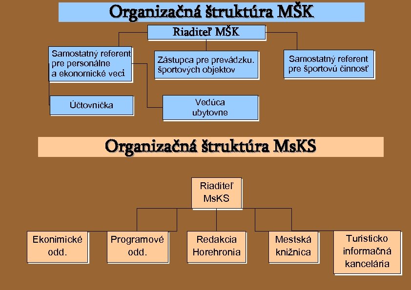 Organizačná štruktúra MŠK Riaditeľ MŠK Samostatný referent pre personálne a ekonomické veci Zástupca prevádzku.