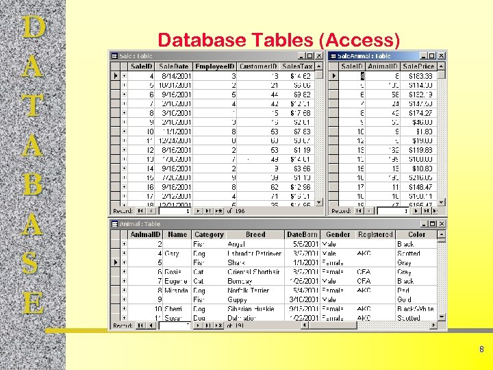 D A T A B A S E Database Tables (Access) 8 