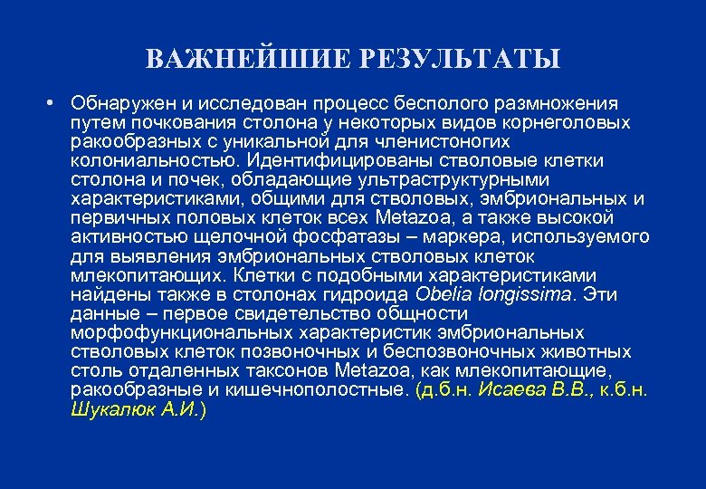 ВАЖНЕЙШИЕ РЕЗУЛЬТАТЫ • Обнаружен и исследован процесс бесполого размножения путем почкования столона у некоторых