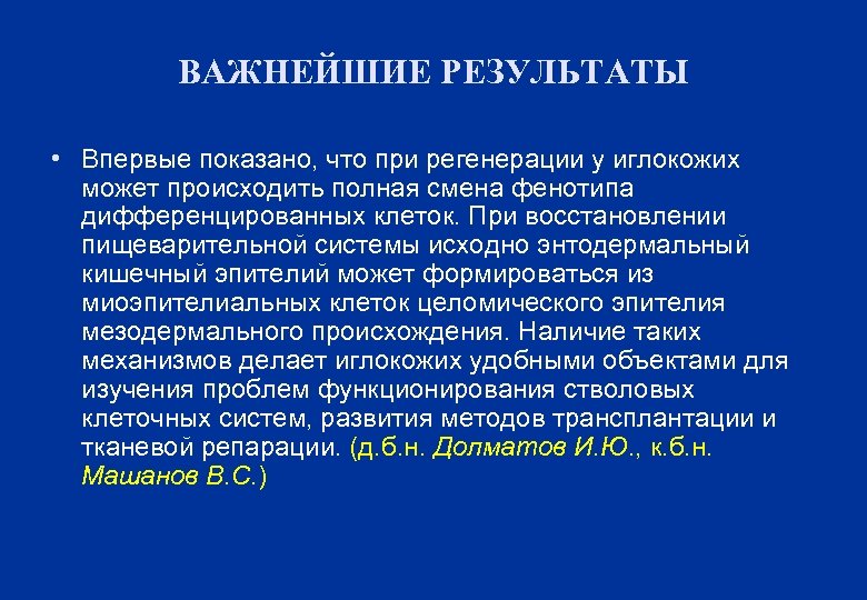 ВАЖНЕЙШИЕ РЕЗУЛЬТАТЫ • Впервые показано, что при регенерации у иглокожих может происходить полная смена