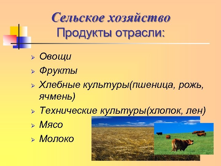 Сельское хозяйство Продукты отрасли: Ø Ø Ø Овощи Фрукты Хлебные культуры(пшеница, рожь, ячмень) Технические