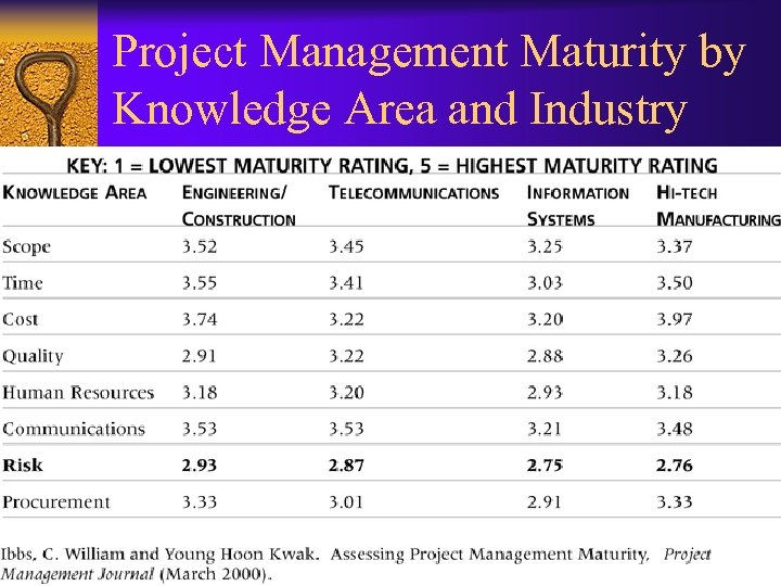 Project Management Maturity by Knowledge Area and Industry 