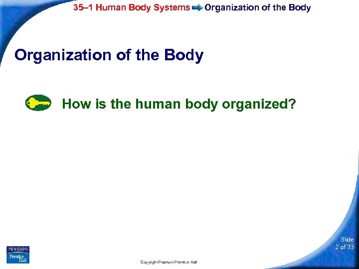 35– 1 Human Body Systems Organization of the Body How is the human body