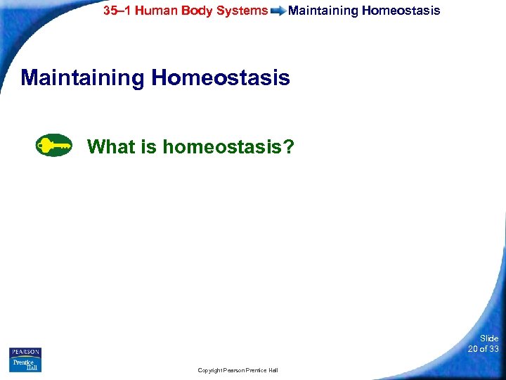 35– 1 Human Body Systems Maintaining Homeostasis What is homeostasis? Slide 20 of 33