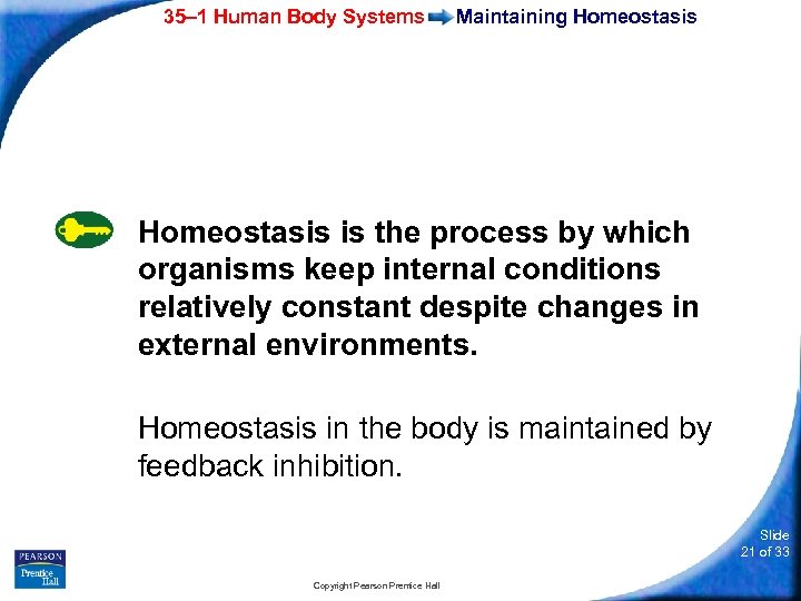 35– 1 Human Body Systems Maintaining Homeostasis is the process by which organisms keep