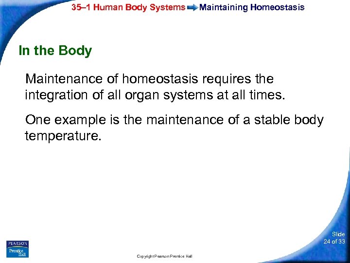 35– 1 Human Body Systems Maintaining Homeostasis In the Body Maintenance of homeostasis requires