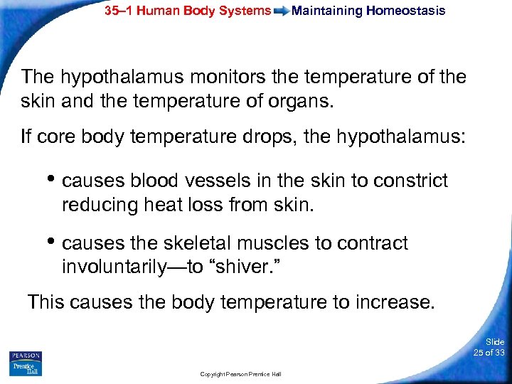 35– 1 Human Body Systems Maintaining Homeostasis The hypothalamus monitors the temperature of the
