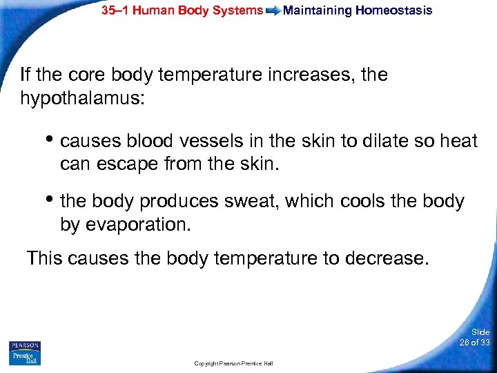 35– 1 Human Body Systems Maintaining Homeostasis If the core body temperature increases, the