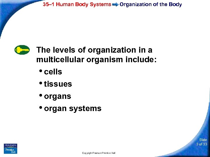 35– 1 Human Body Systems Organization of the Body The levels of organization in