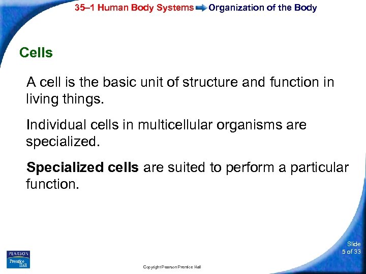 35– 1 Human Body Systems Organization of the Body Cells A cell is the