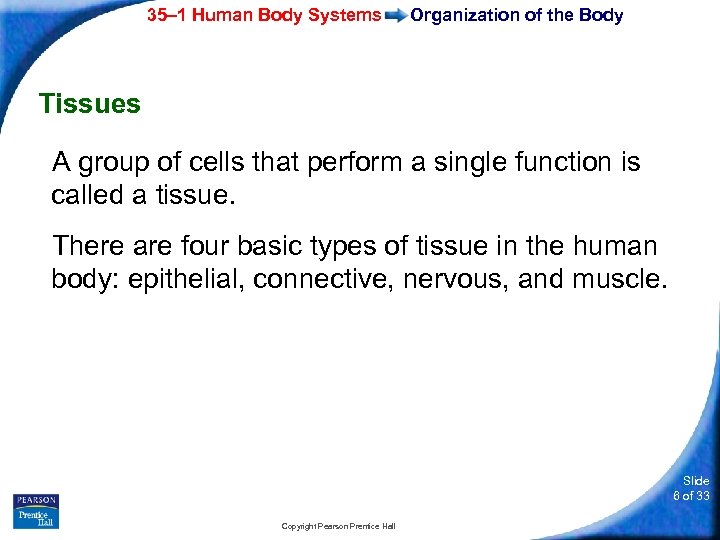 35– 1 Human Body Systems Organization of the Body Tissues A group of cells