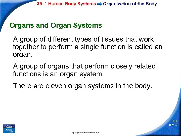 35– 1 Human Body Systems Organization of the Body Organs and Organ Systems A