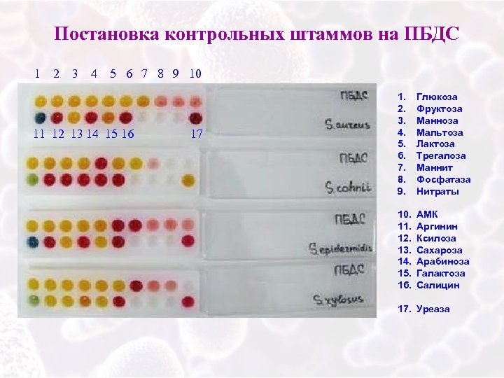 Тест системы биология