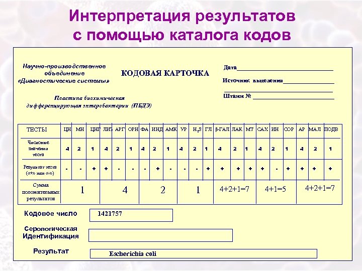 Результат идентификации образцов