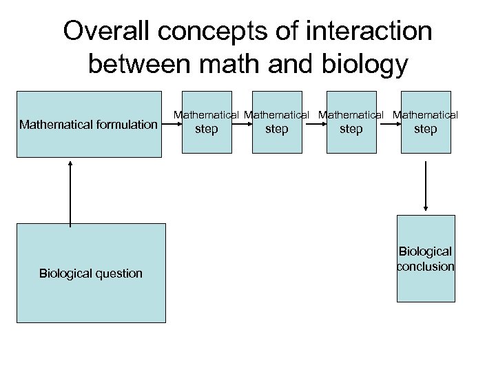 Overall concepts of interaction between math and biology Mathematical formulation Biological question Mathematical step