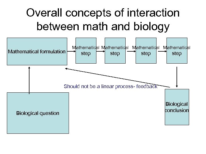 Overall concepts of interaction between math and biology Mathematical formulation Mathematical step Should not
