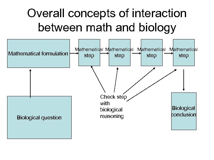 Overall concepts of interaction between math and biology Mathematical formulation Biological question Mathematical step