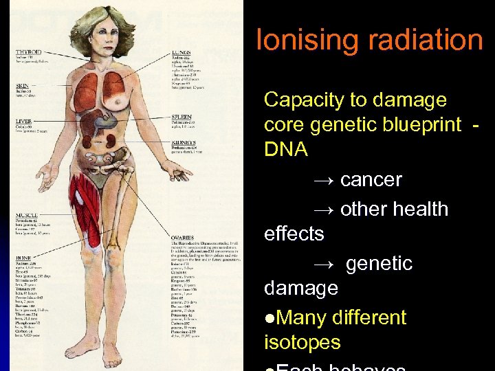 Ionising radiation Capacity to damage core genetic blueprint DNA → cancer → other health