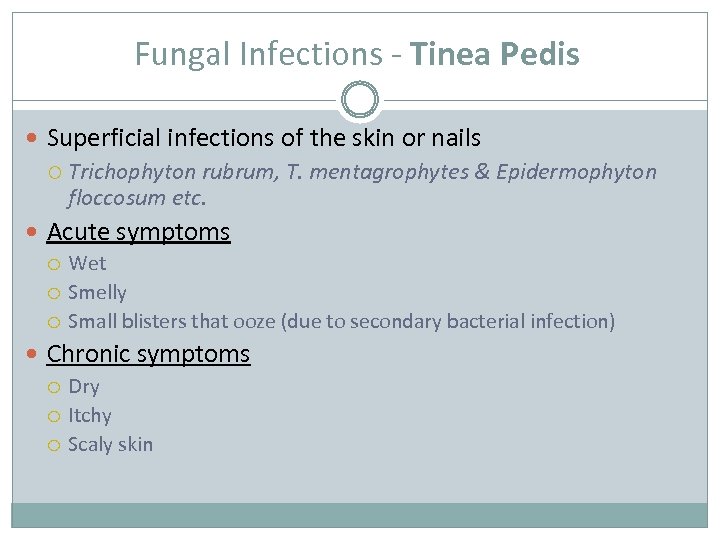 Fungal Infections - Tinea Pedis Superficial infections of the skin or nails Trichophyton rubrum,