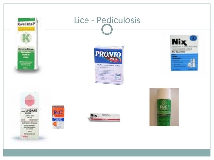 Lice - Pediculosis 