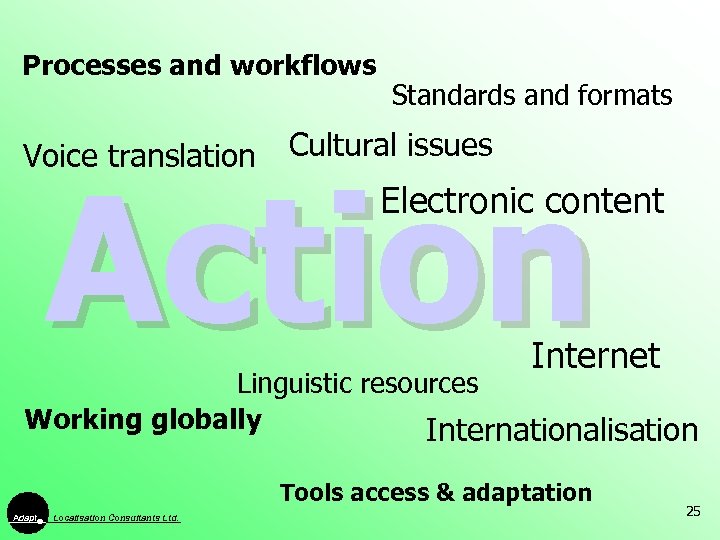 Processes and workflows Voice translation Standards and formats Cultural issues Action Electronic content Internet