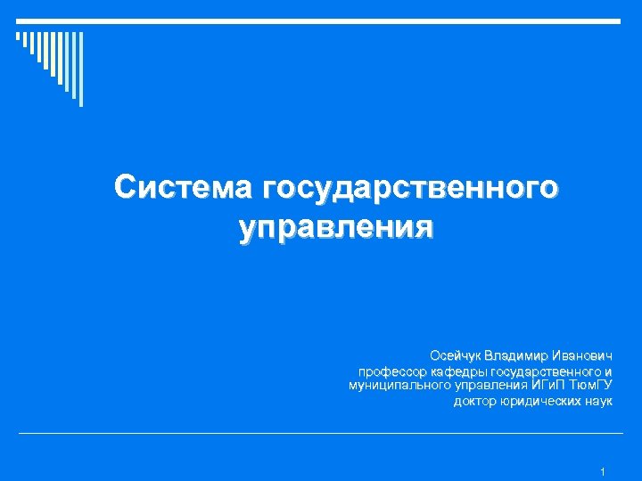 Система государственного управления Осейчук Владимир Иванович профессор кафедры государственного и муниципального управления ИГи. П