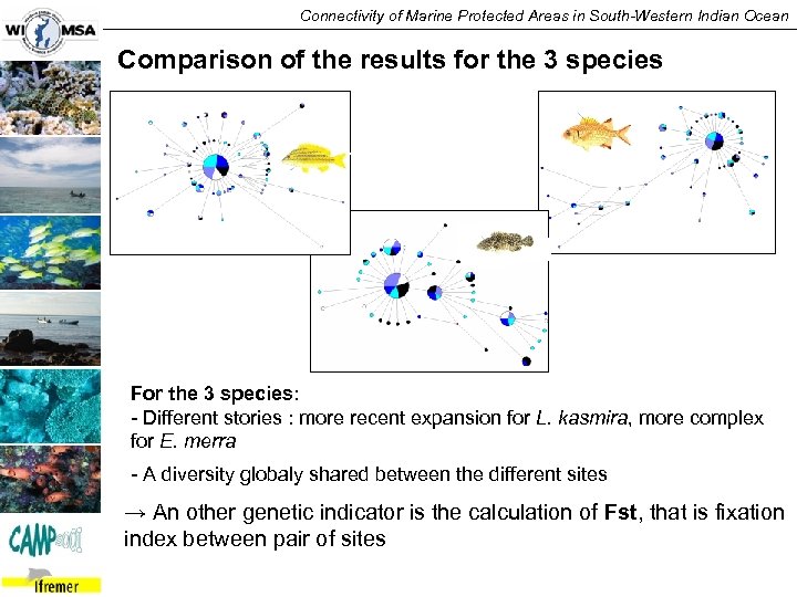 Connectivity of Marine Protected Areas in South-Western Indian Ocean Comparison of the results for