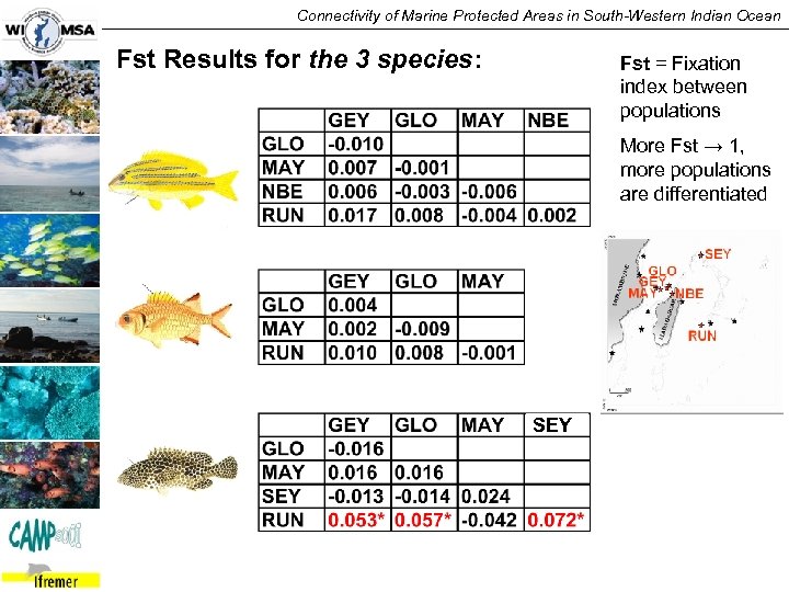 Connectivity of Marine Protected Areas in South-Western Indian Ocean Fst Results for the 3