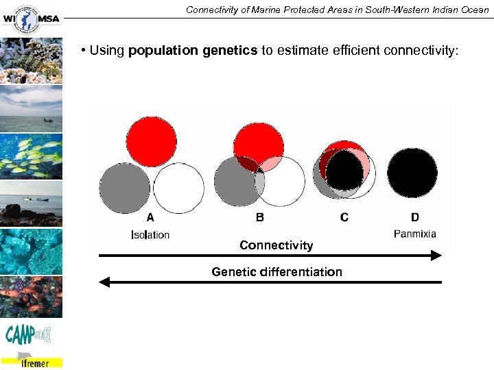 Connectivity of Marine Protected Areas in South-Western Indian Ocean • Using population genetics to