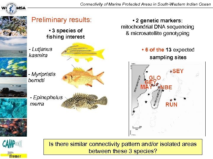 Connectivity of Marine Protected Areas in South-Western Indian Ocean Preliminary results: • 3 species