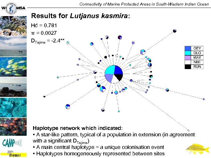 Connectivity of Marine Protected Areas in South-Western Indian Ocean Results for Lutjanus kasmira: Hd