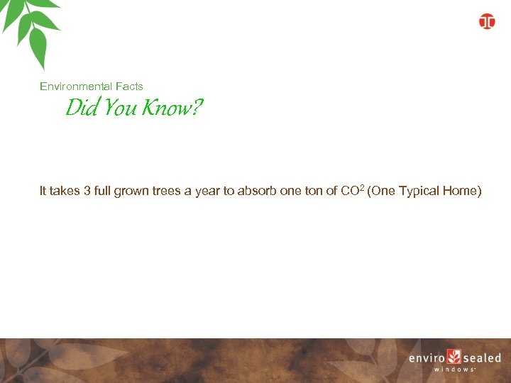Environmental Facts Did You Know? It takes 3 full grown trees a year to