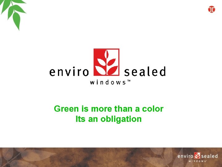 Selling Environmentally Friendly Windows Green is more than a color Its an obligation 