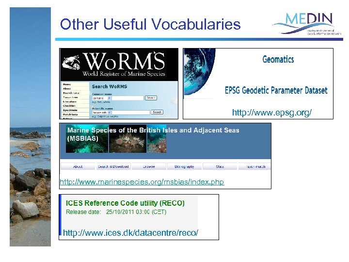 Other Useful Vocabularies http: //www. epsg. org/ http: //www. marinespecies. org/msbias/index. php http: //www.