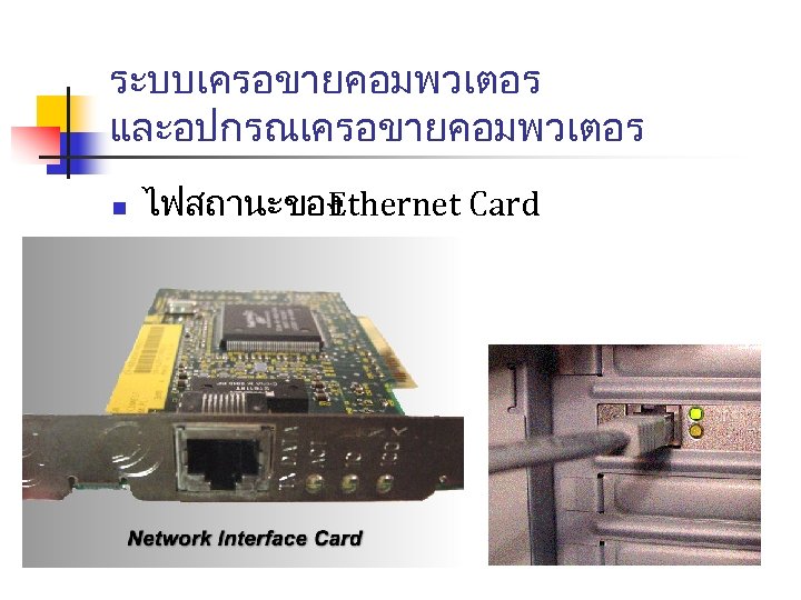 ระบบเครอขายคอมพวเตอร และอปกรณเครอขายคอมพวเตอร n ไฟสถานะของ thernet Card E 
