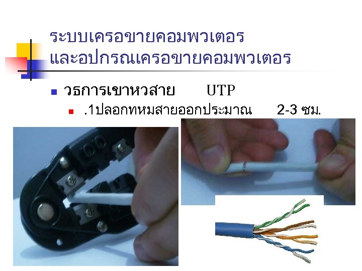 ระบบเครอขายคอมพวเตอร และอปกรณเครอขายคอมพวเตอร n วธการเขาหวสาย n UTP . 1ปลอกทหมสายออกประมาณ 2 -3 ซม. 