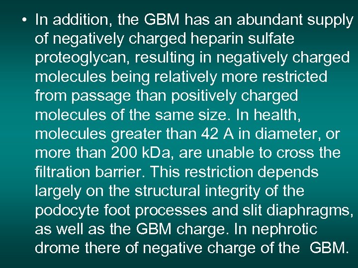  • In addition, the GBM has an abundant supply of negatively charged heparin