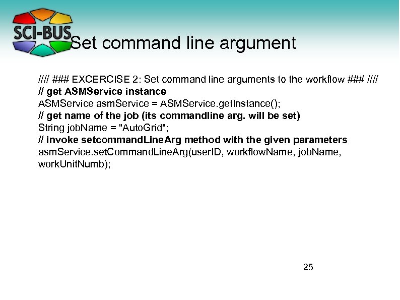 Set command line argument //// ### EXCERCISE 2: Set command line arguments to the
