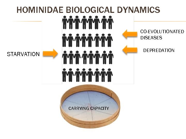 HOMINIDAE BIOLOGICAL DYNAMICS CO-EVOLUTIONATED DISEASES DEPREDATION STARVATION CARRYING CAPACITY 