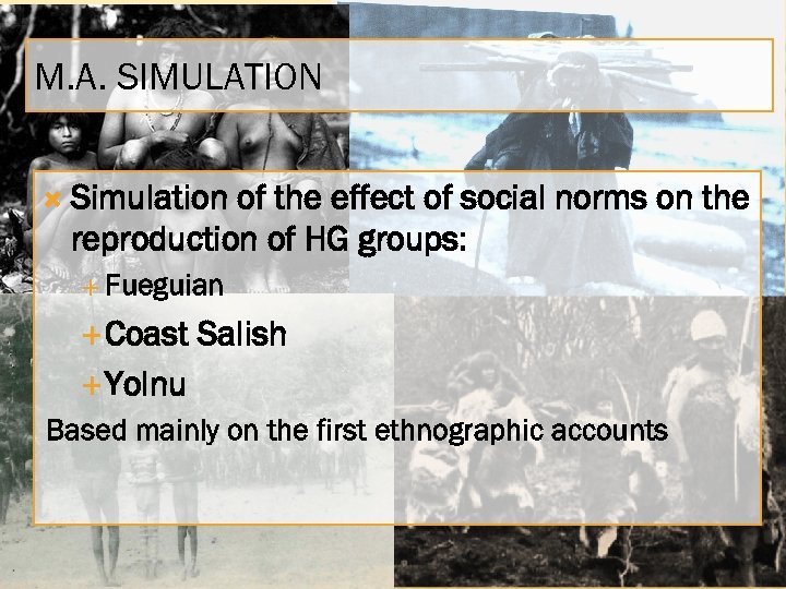 M. A. SIMULATION Simulation of the effect of social norms on the reproduction of