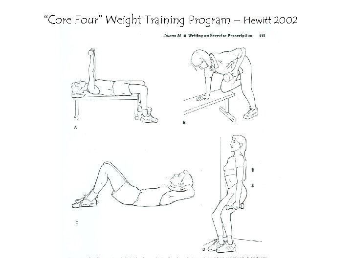 “Core Four” Weight Training Program – Hewitt 2002 