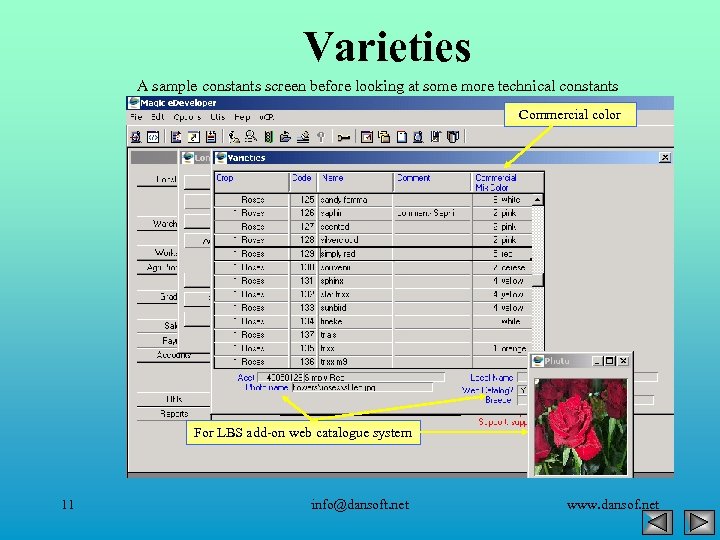 Varieties A sample constants screen before looking at some more technical constants Commercial color