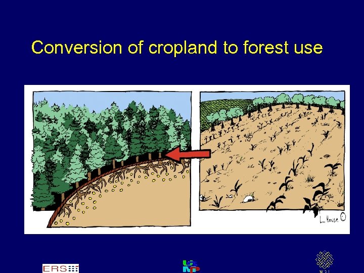 Conversion of cropland to forest use 