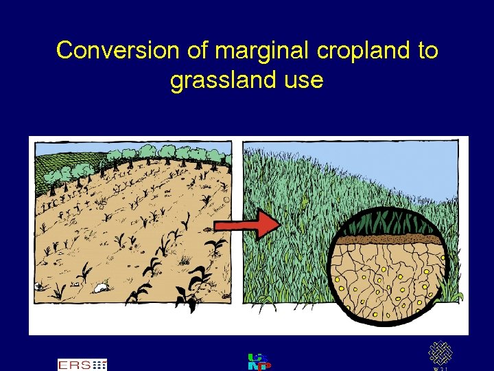 Conversion of marginal cropland to grassland use 