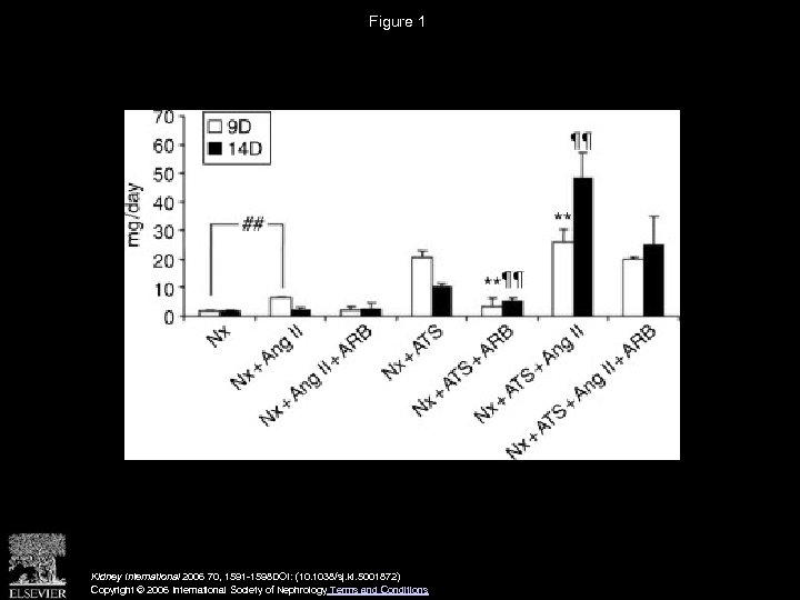 Figure 1 Kidney International 2006 70, 1591 -1598 DOI: (10. 1038/sj. ki. 5001872) Copyright