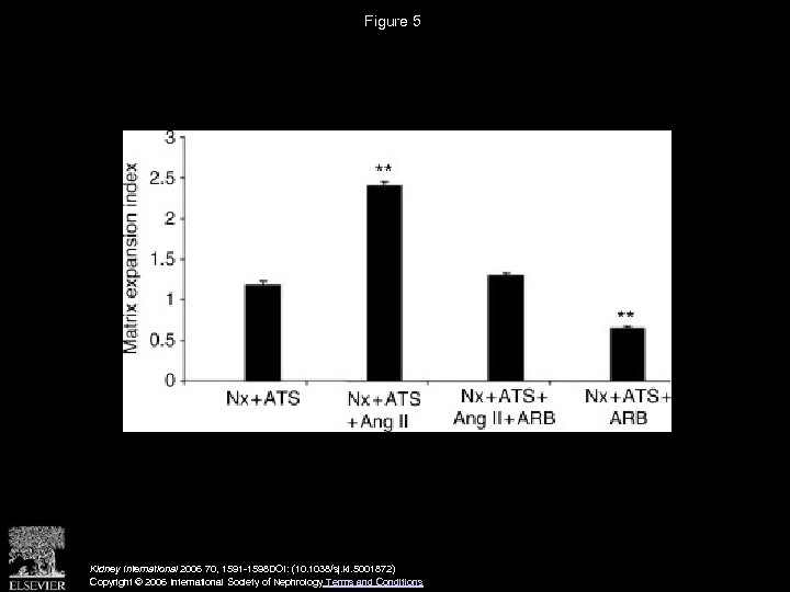 Figure 5 Kidney International 2006 70, 1591 -1598 DOI: (10. 1038/sj. ki. 5001872) Copyright
