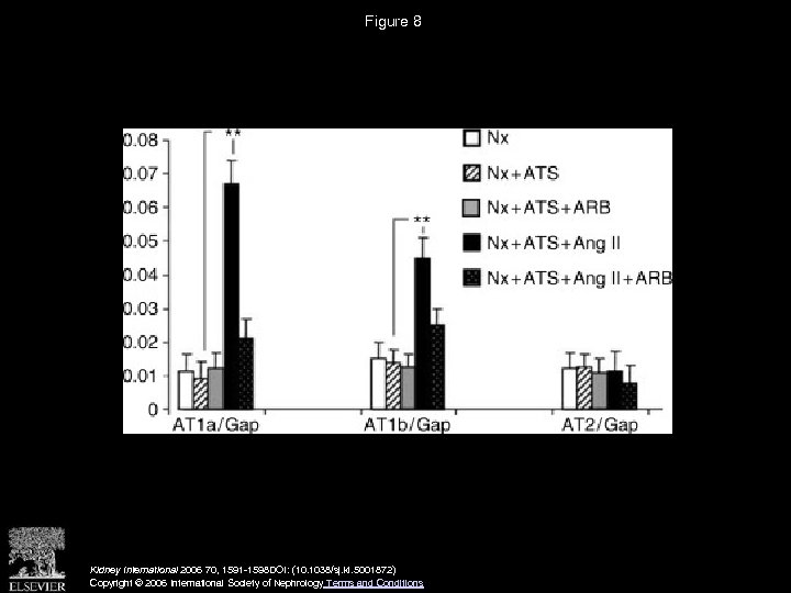 Figure 8 Kidney International 2006 70, 1591 -1598 DOI: (10. 1038/sj. ki. 5001872) Copyright