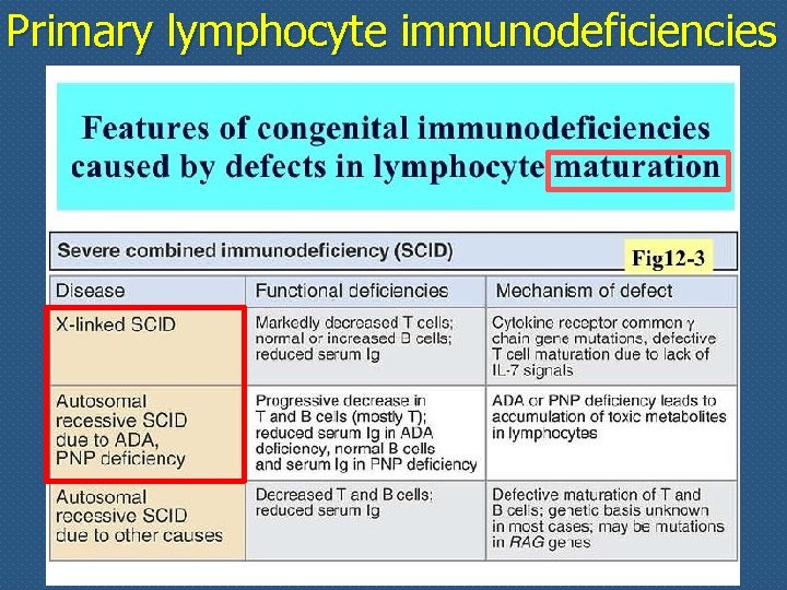 Primary lymphocyte immunodeficiencies 